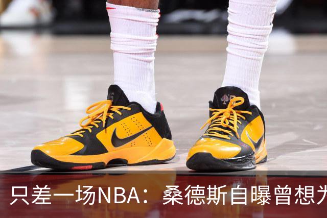 只差一场NBA：桑德斯自曝曾想为老鹰打一场，总经理没点头