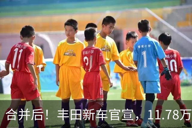 合并后！丰田新车官宣，11.78万上市！